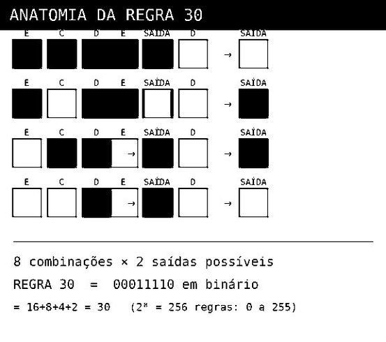 Anatomia das Regras